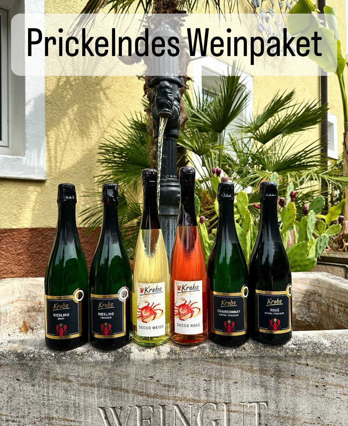 Prickelndes Weinpaket